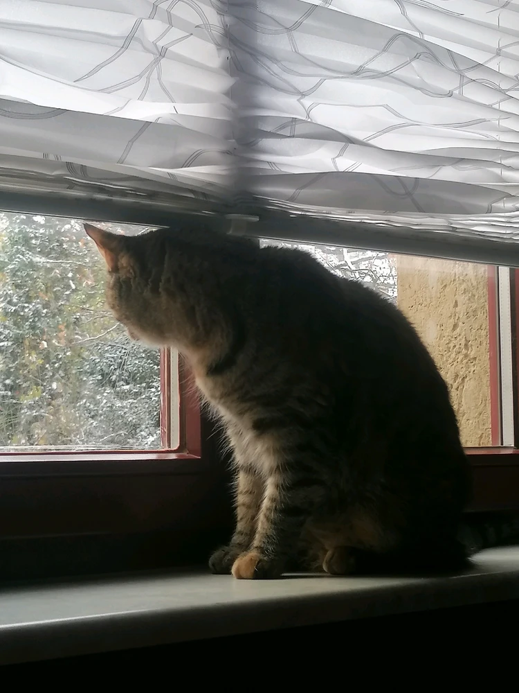 Bild hochgeladen von Stitch