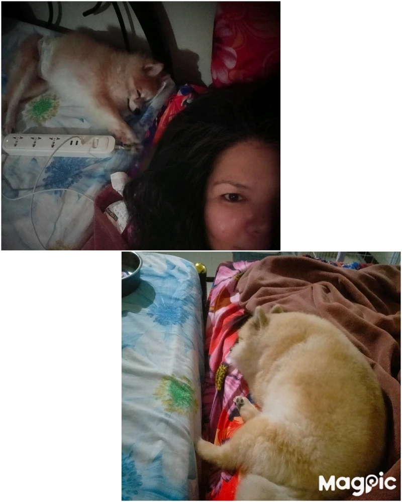 Image uploaded by Merida Meron Mionda Ragon