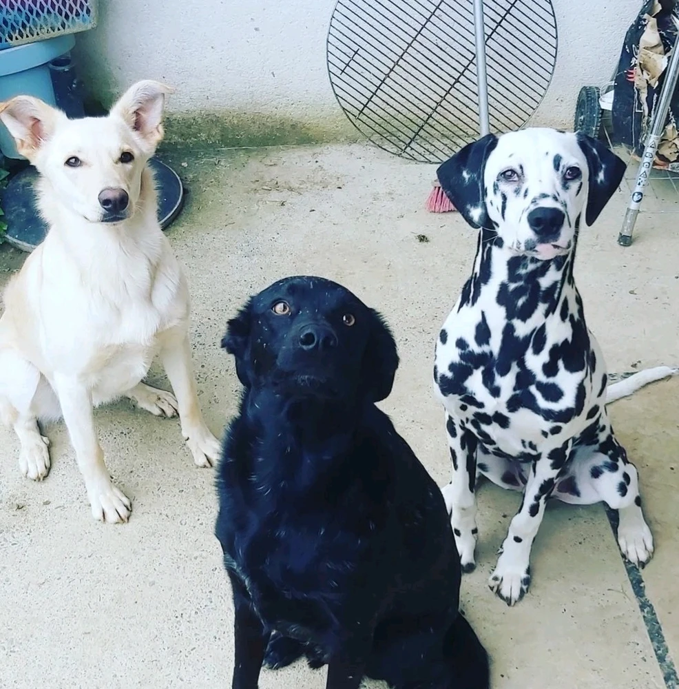 Image ajoutée par Emma