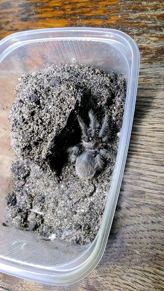 Image uploaded by Niko