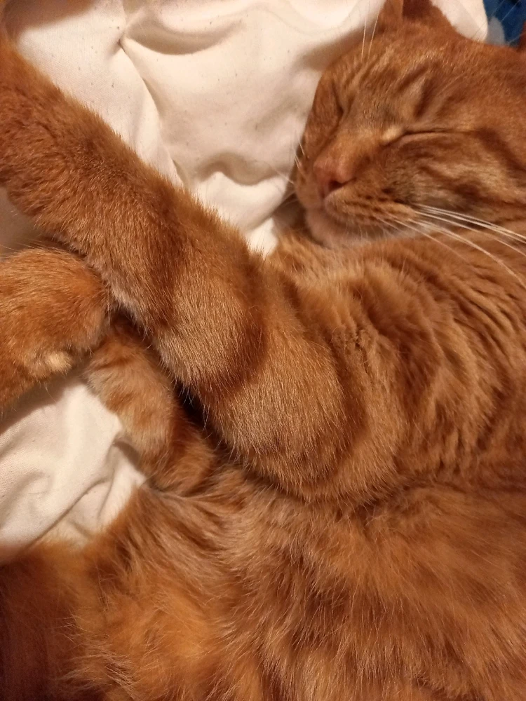 Image ajoutée par Aube413