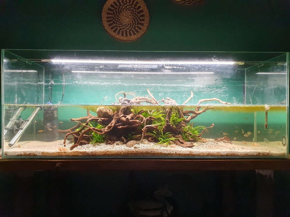 Image ajoutée par Daniel