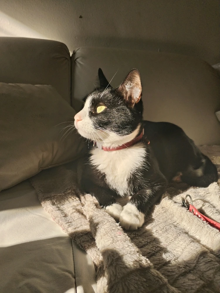 Imagen subida por Karla