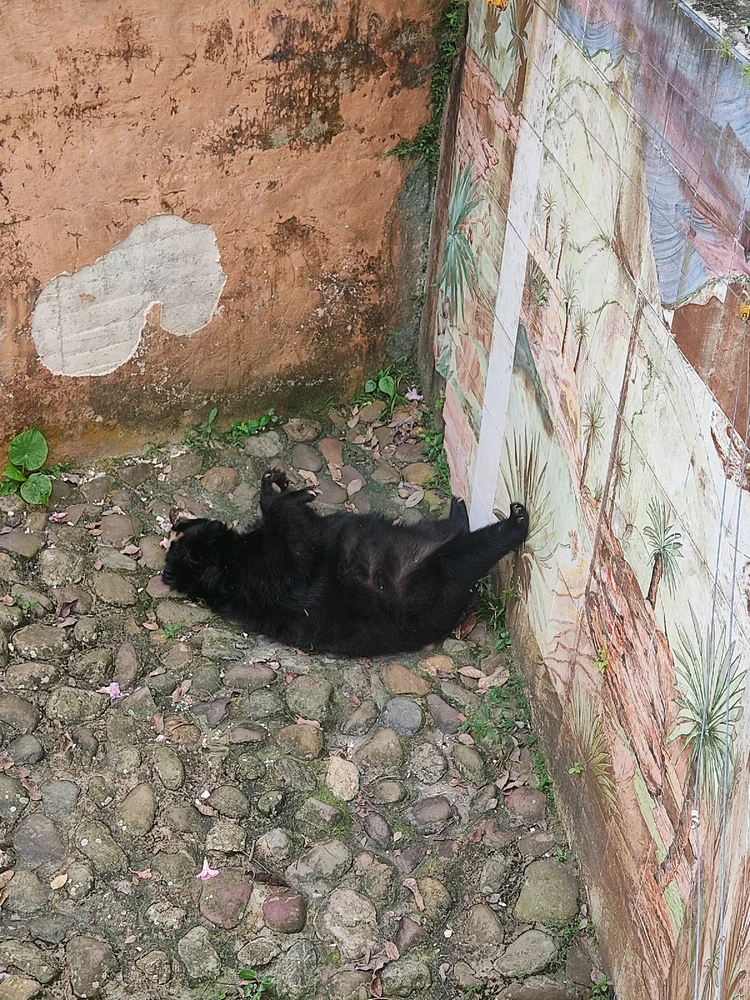 Imagen subida por Felipe