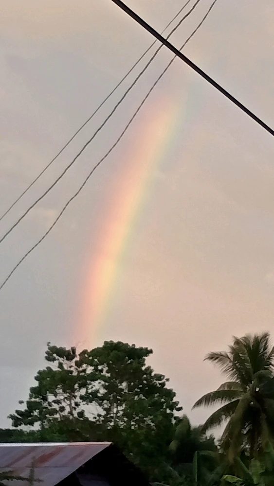 Image uploaded by Lynqt