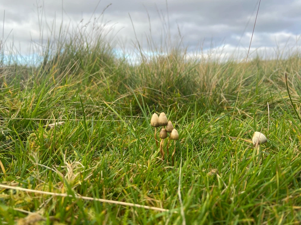 Image uploaded by Zoz