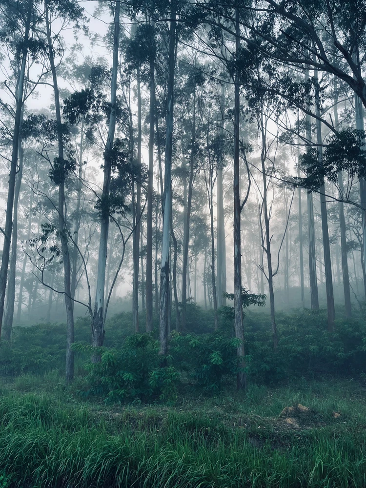 Image uploaded by Abhijith