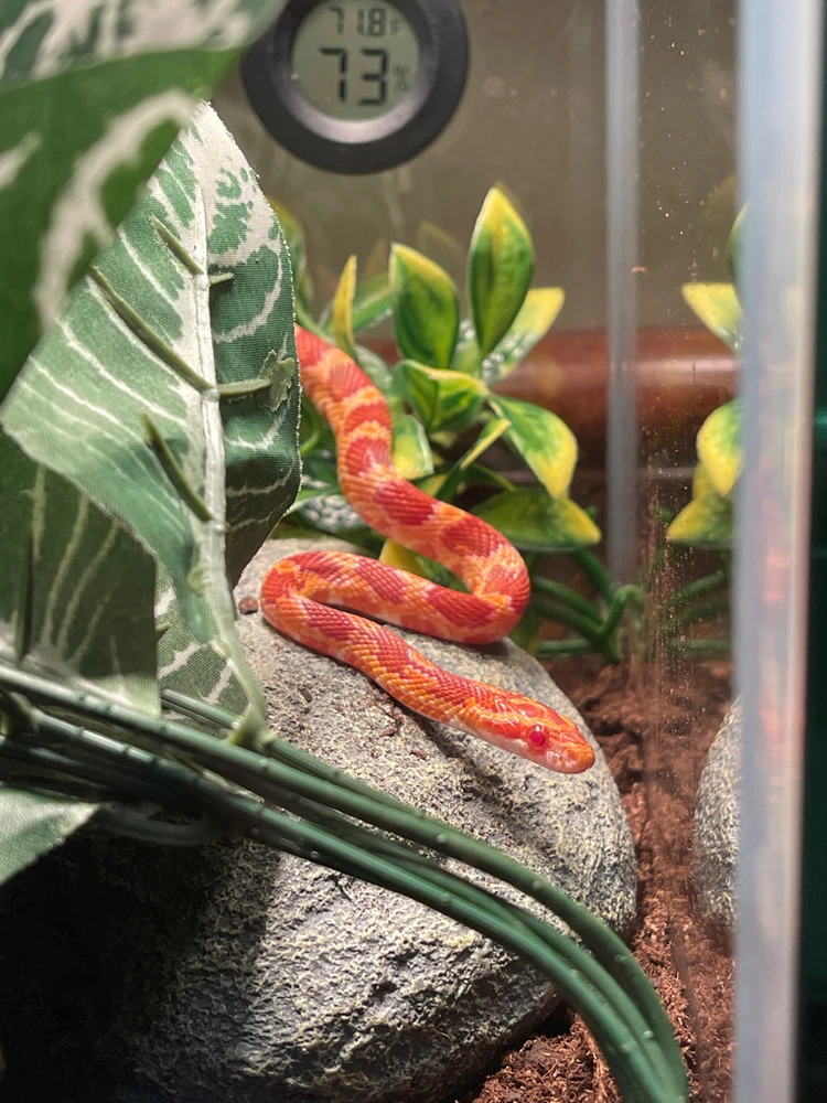 Image uploaded by Kristen