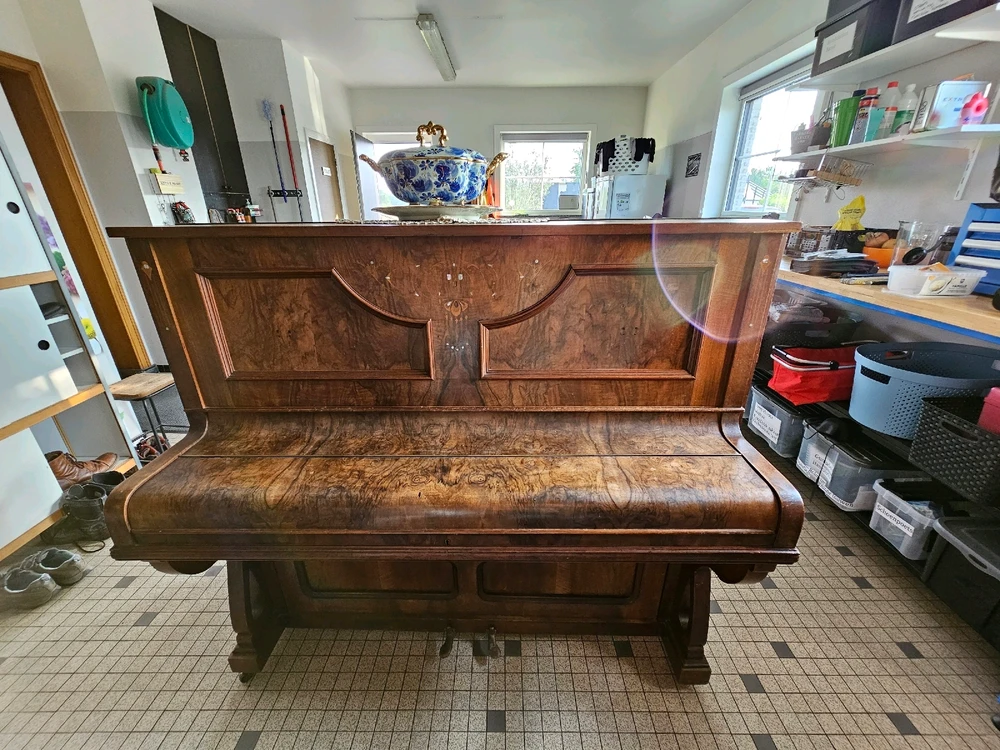 Image uploaded by Lowie