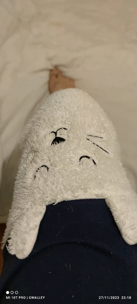 Image uploaded by Gustavo