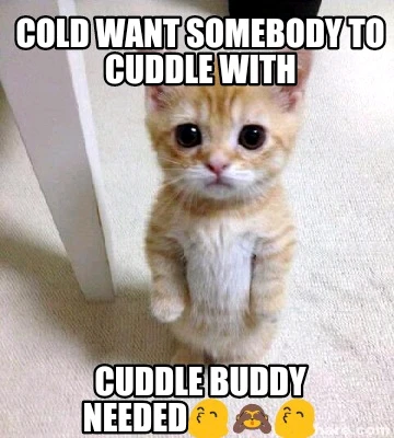 Bild hochgeladen von Philipp