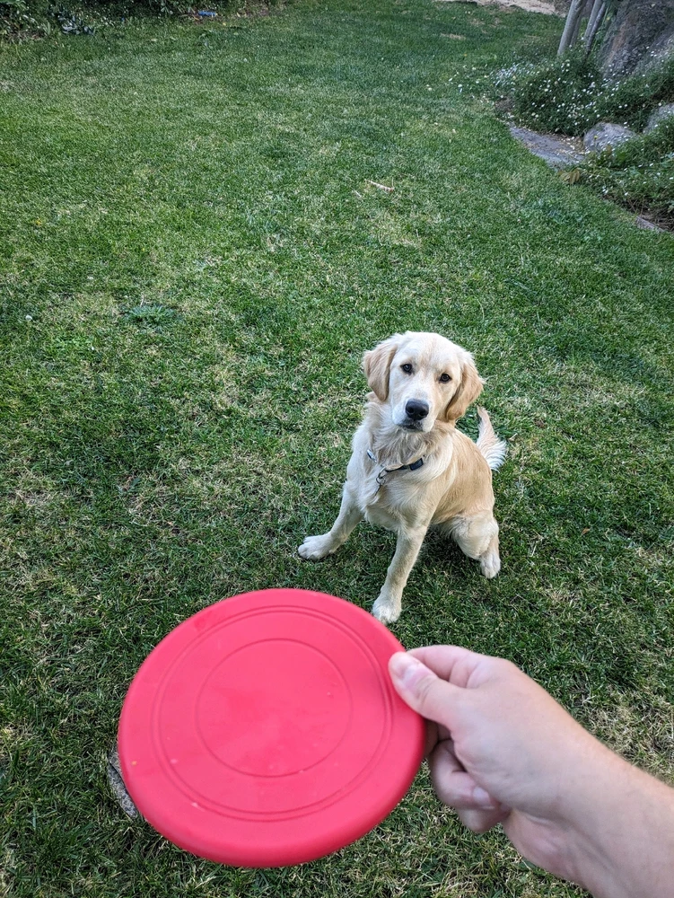 Image uploaded by Jordan