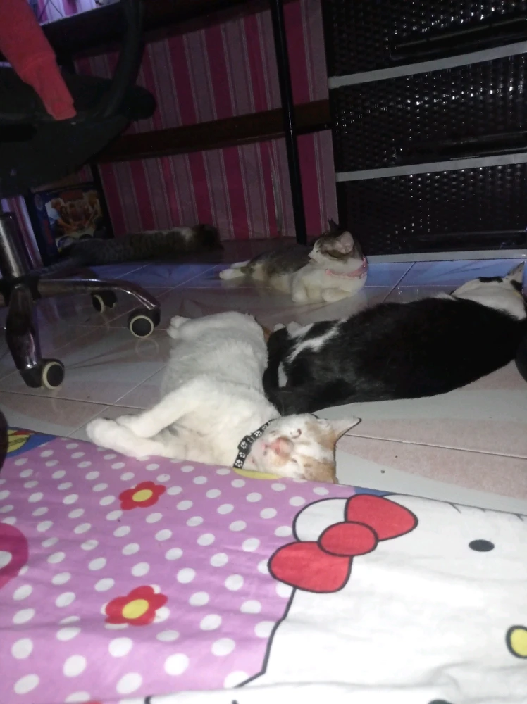 I-upload ni Anthony ang larawan