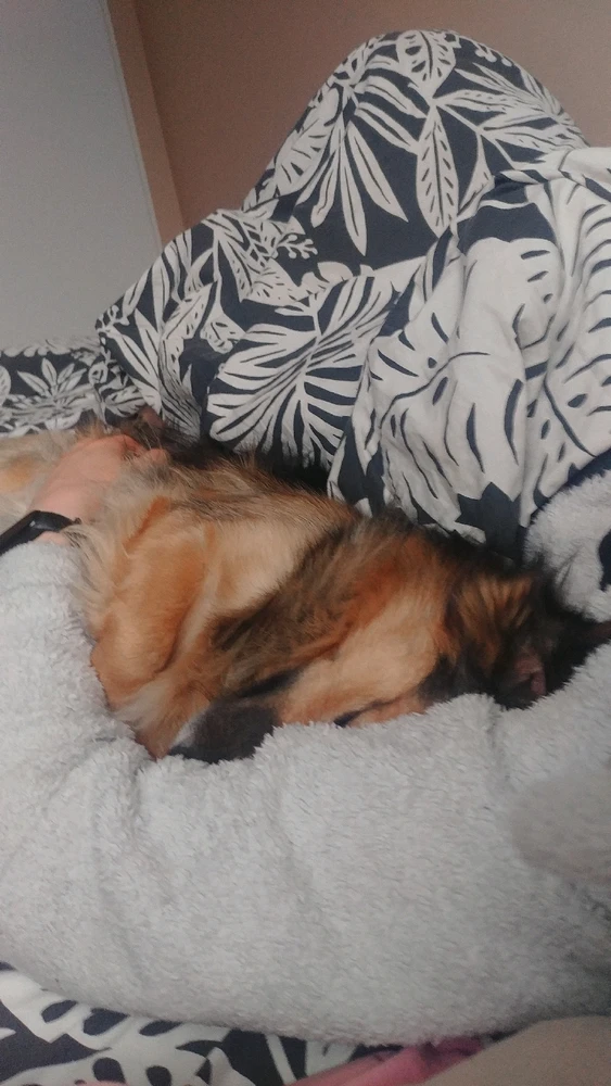 Zdjęcie dodane przez Joanna