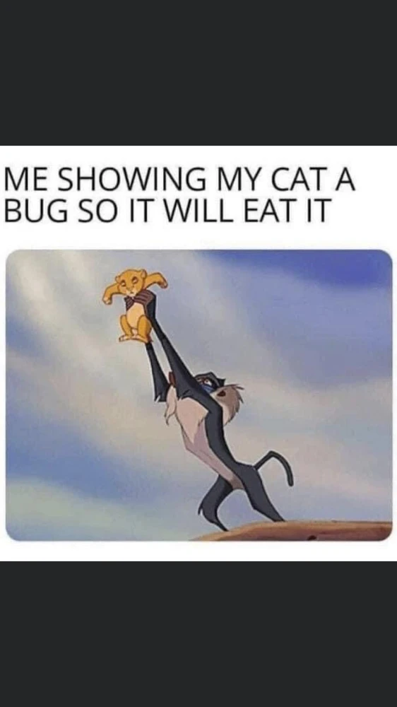 Zdjęcie dodane przez Klaudia