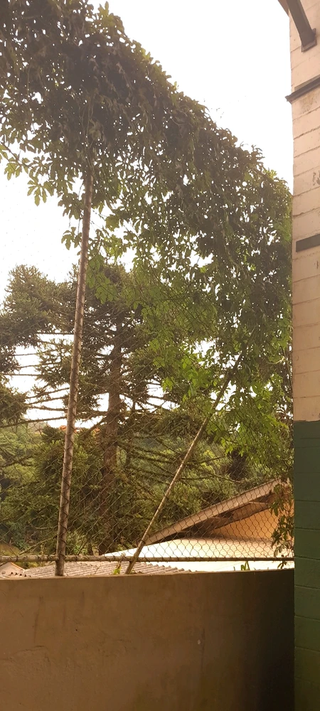 Imagem enviada por Mask