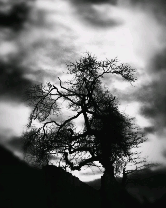 Image uploaded by Alessandra Krueger