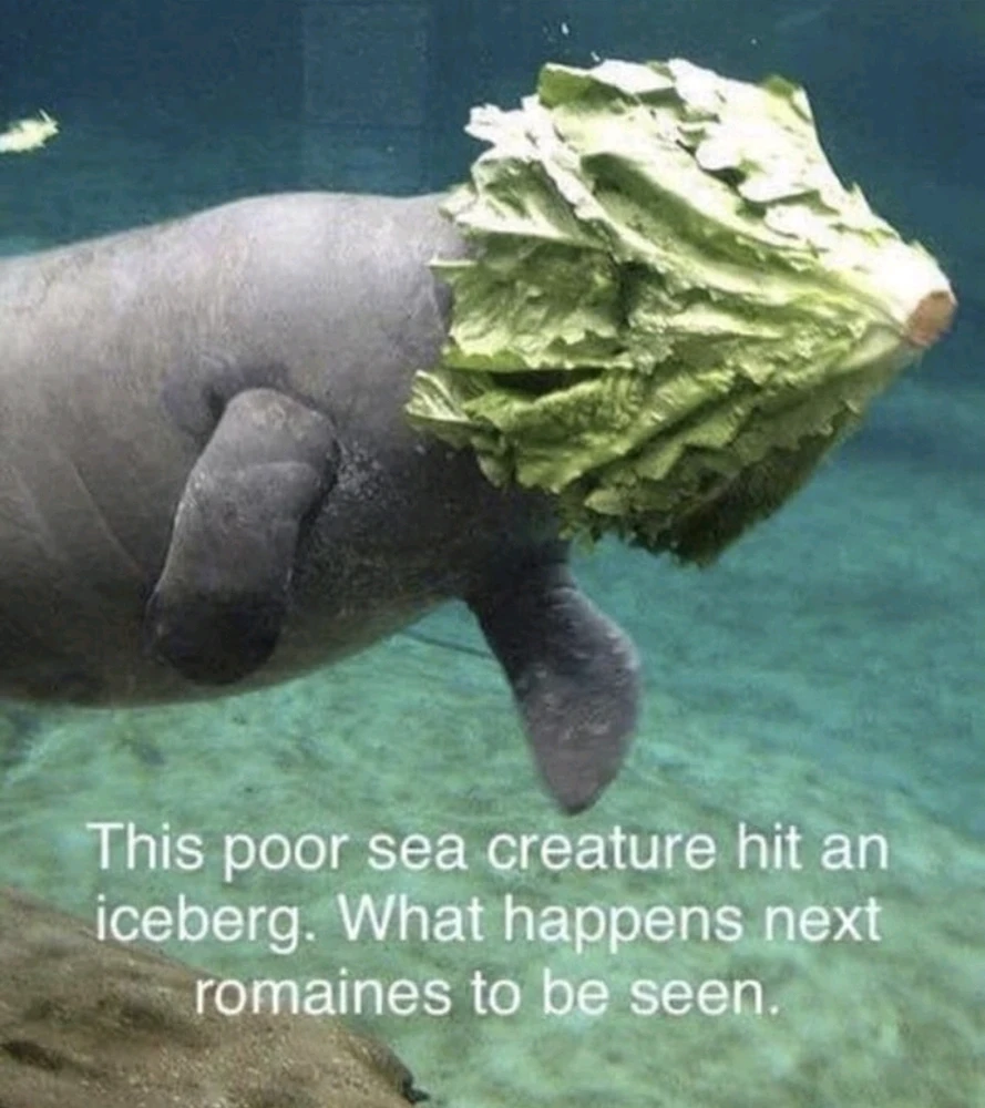 Image uploaded by Noko