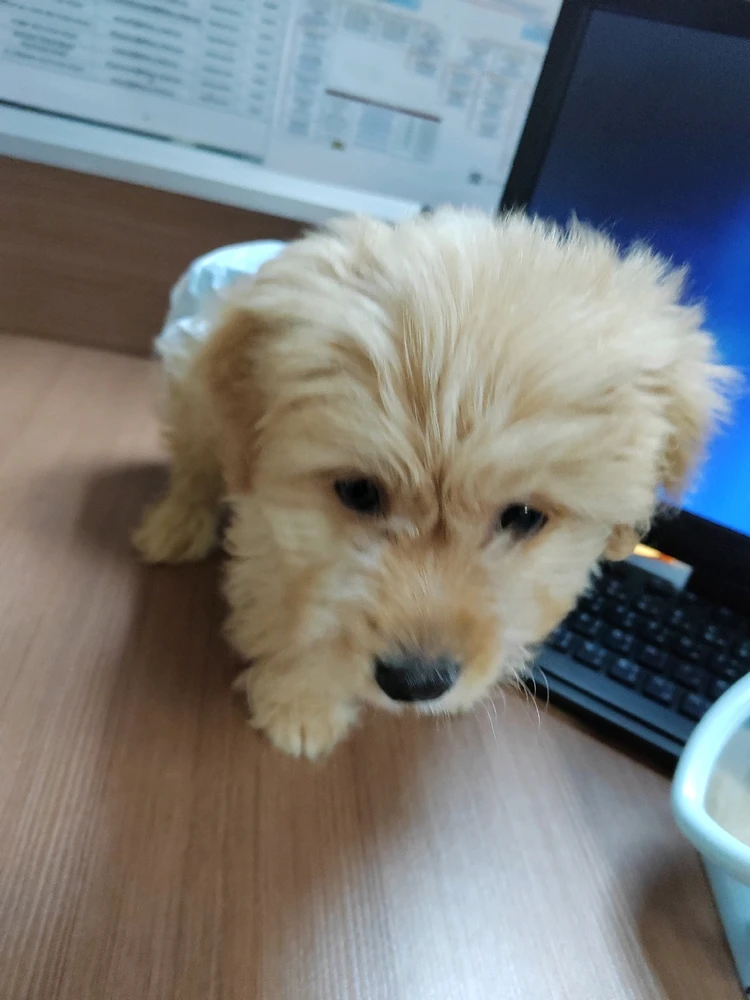 Gambar diunggah dening Claire