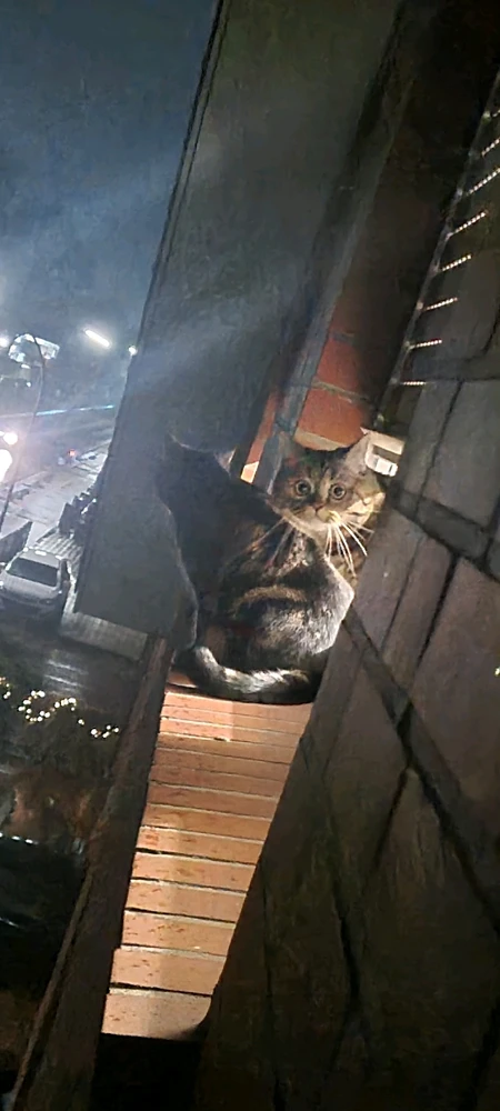 Bild hochgeladen von Jan