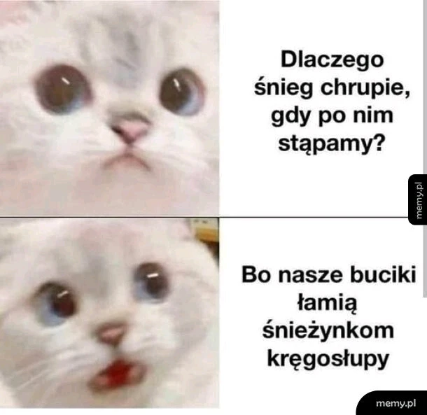 Zdjęcie dodane przez Joanna