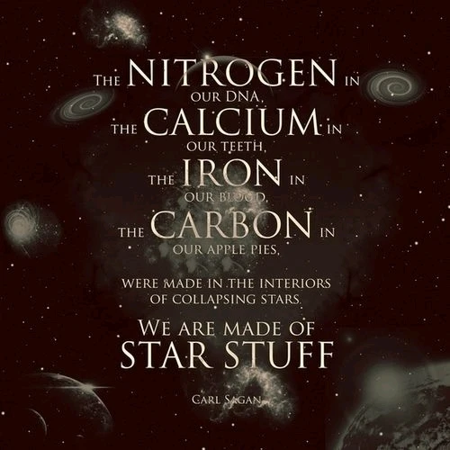 “The cosmos is within us. We are made of star-stuff. We are a way for the universe to know itself.”
