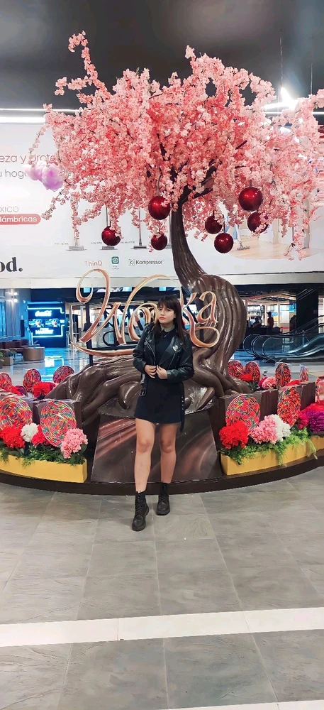 [Es mera casualidad que sonó la canción de los umpalumpas en mi mente en esos momentos]