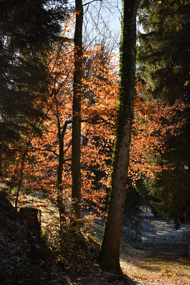 Bild hochgeladen von Nils
