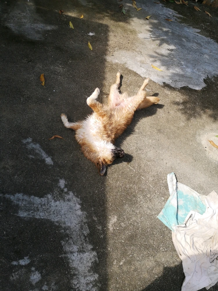 Imagen subida por Darwin