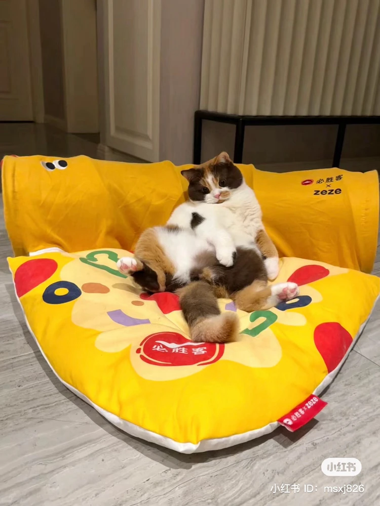 A calico British shorthair laying it's back on a large pizza-shaped bed