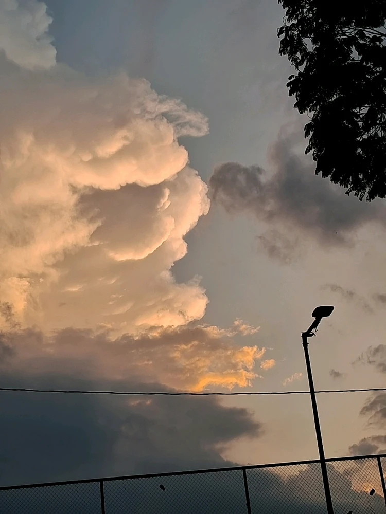 Imagem enviada por Amanda