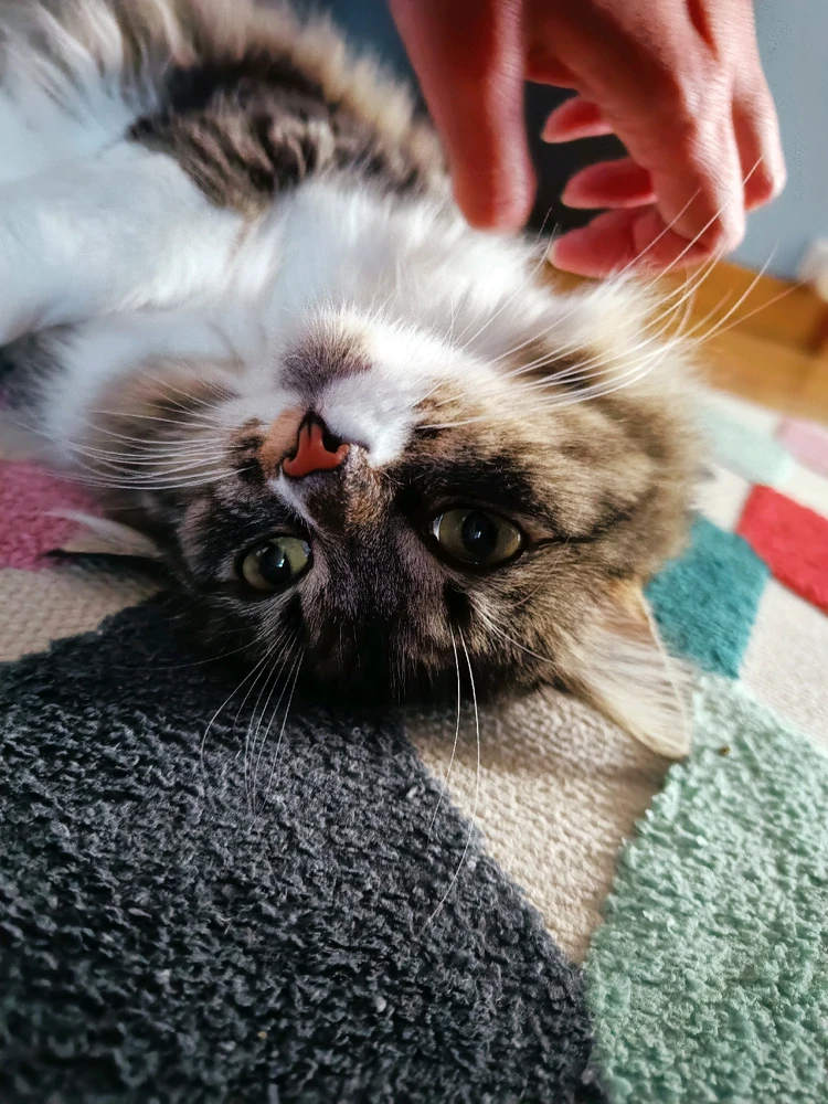 Image ajoutée par Diane