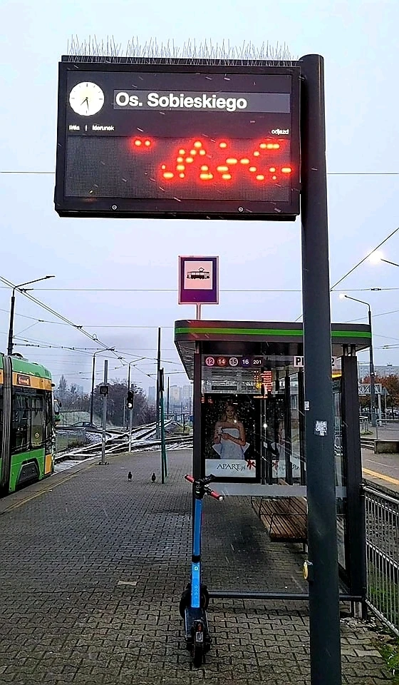 Tymczasem w Poznaniu