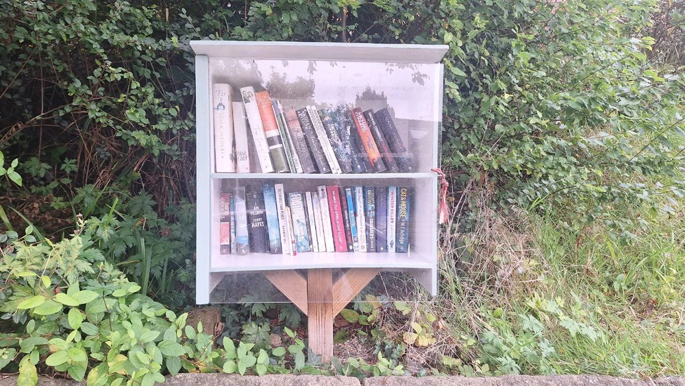 Small white wooden cabinet with glass front doors filled with books in a front garden.