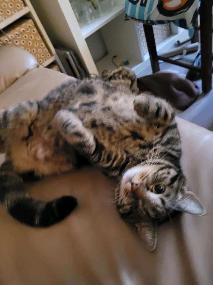 Качено от Ricardo