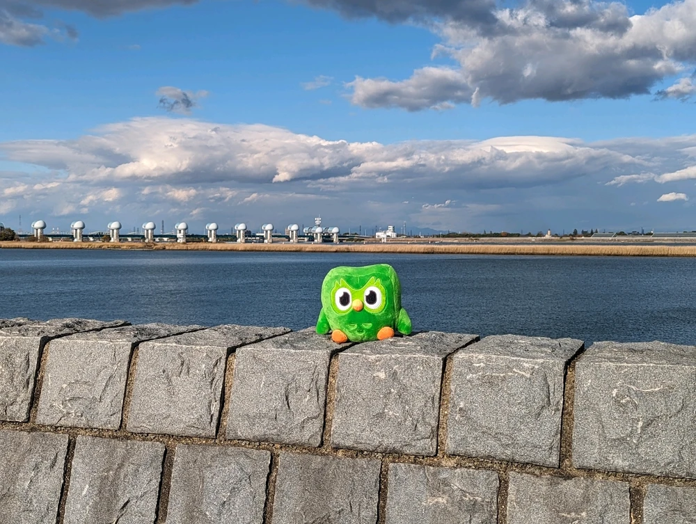 Image uploaded by Wes