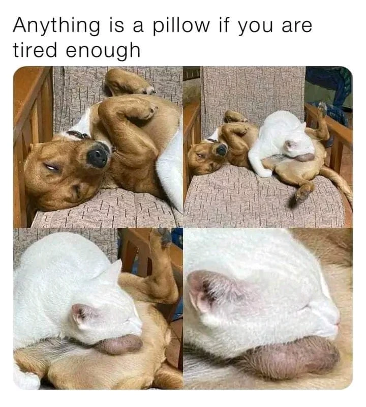 Zdjęcie dodane przez Martee