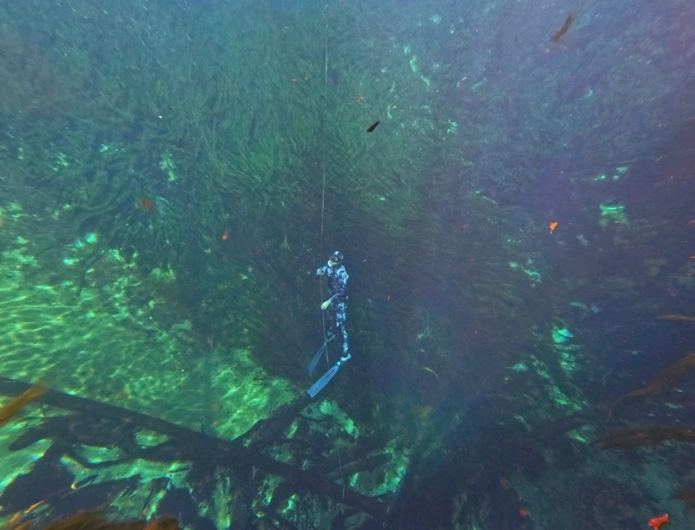 Image uploaded by RareNiceGuy