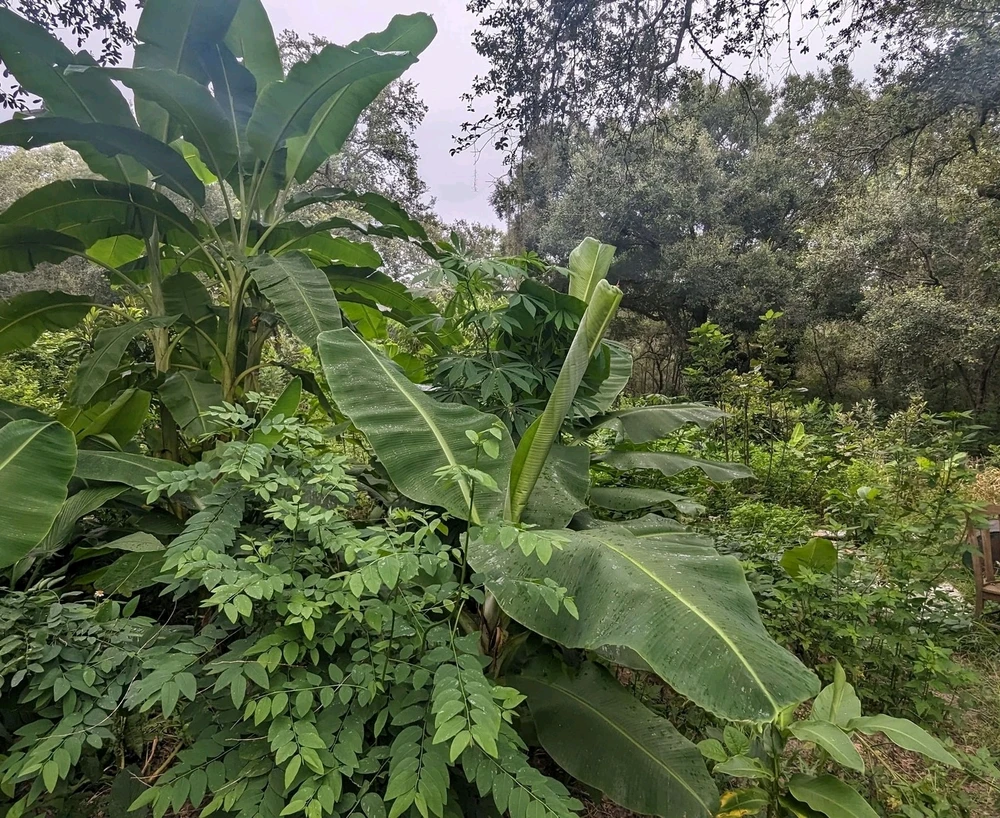 Image uploaded by RareNiceGuy