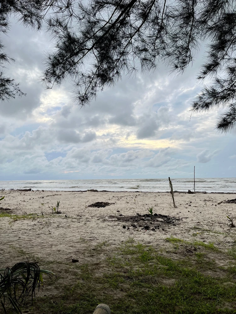 Image uploaded by Joy