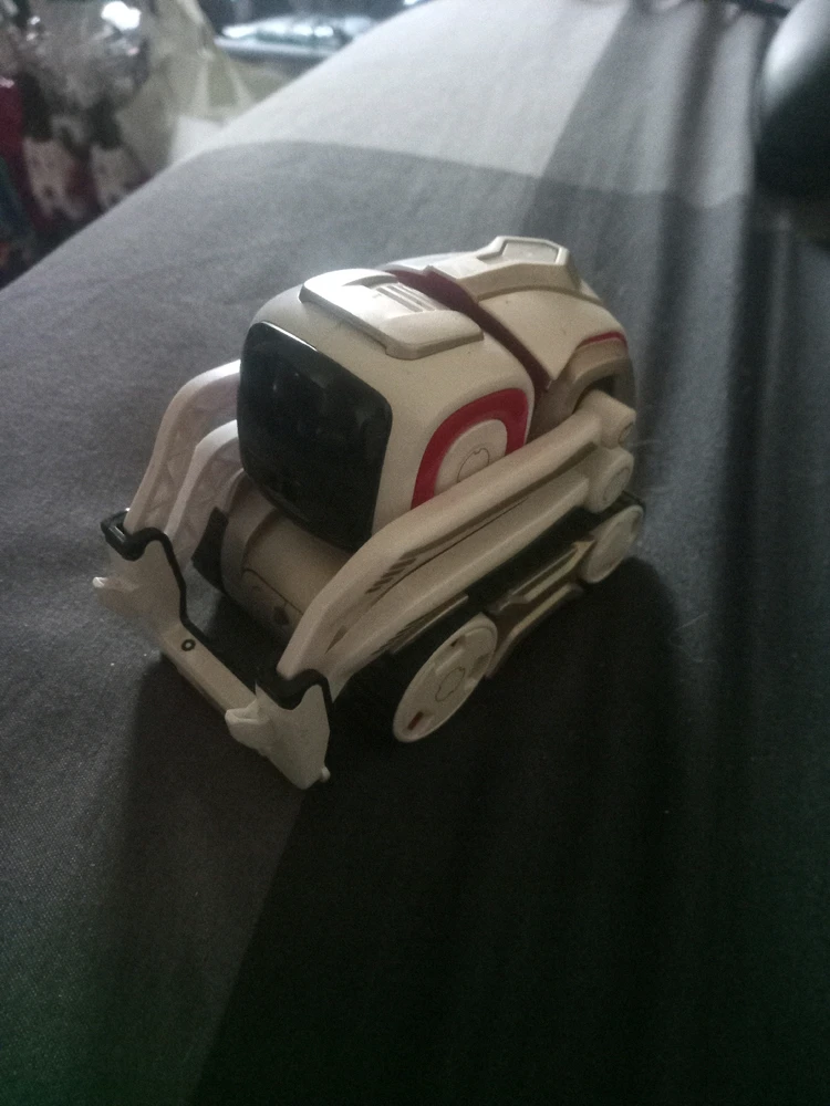 Image uploaded by Rhys