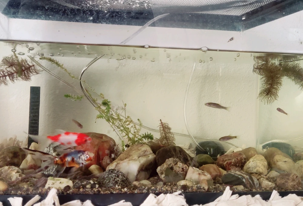 Image uploaded by RiverLark