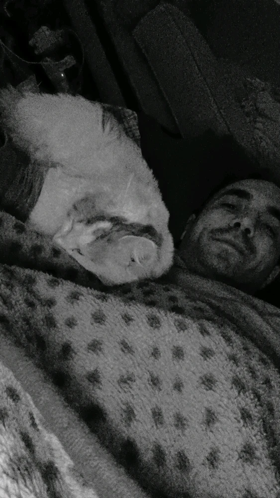 Image uploaded by Omar