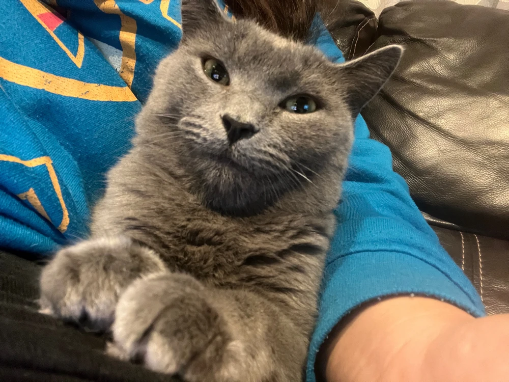 Image uploaded by Alyssa