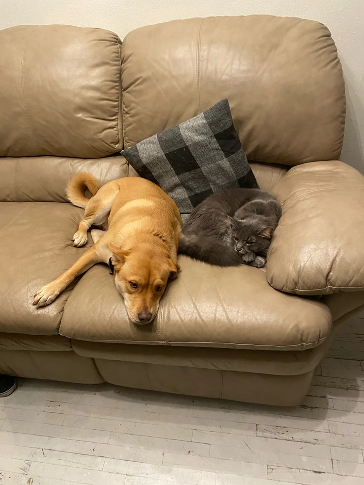 Image uploaded by Evan