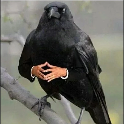 Imagem enviada por Gi