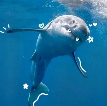 Image uploaded by Khana