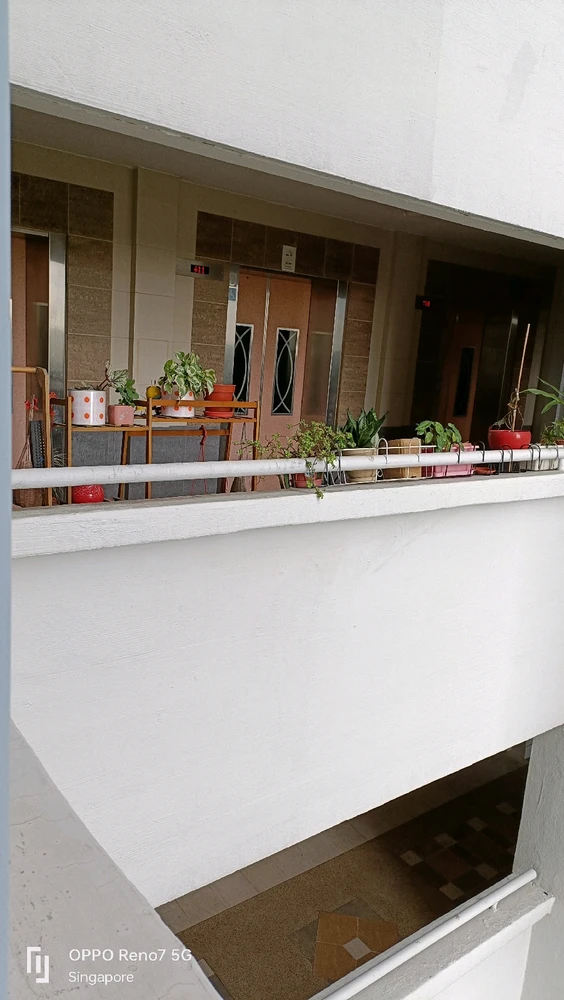 Image uploaded by Ree