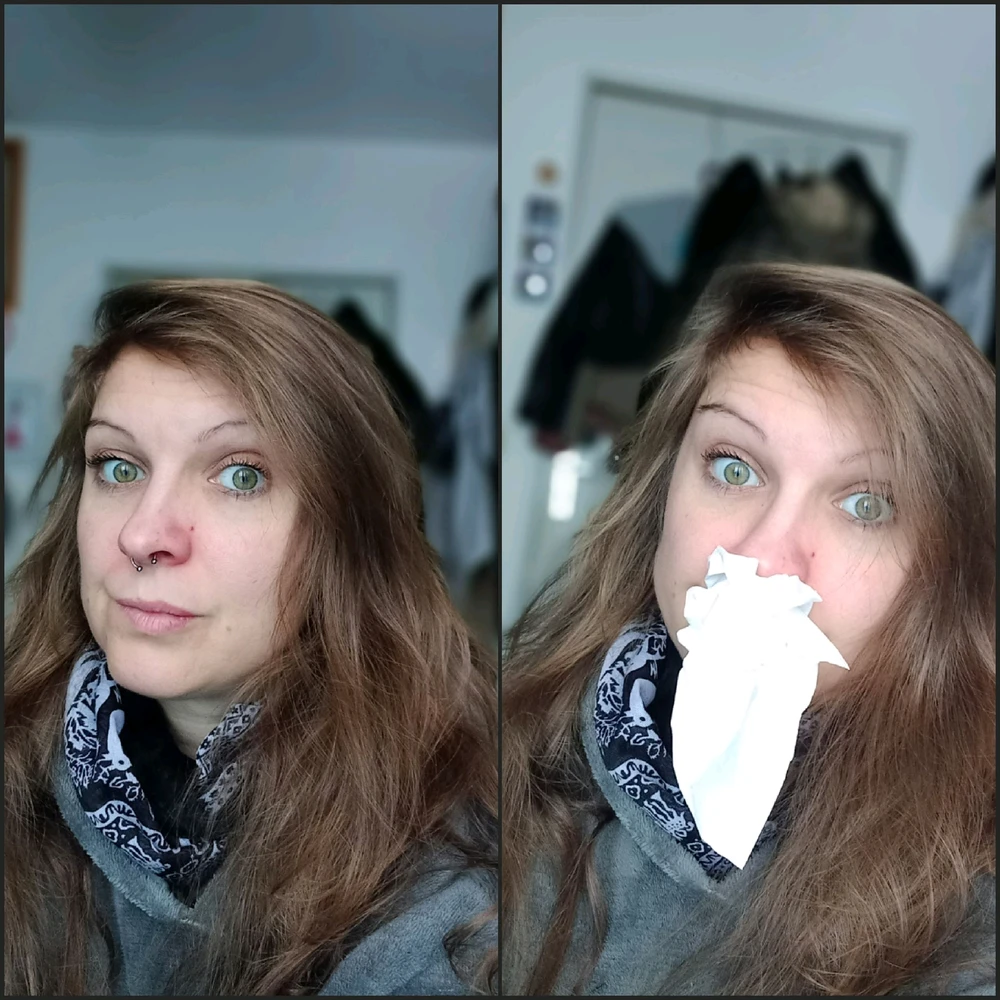 Image ajoutée par Audrey 🤡