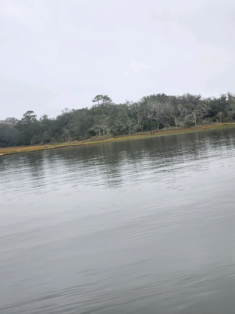 Image uploaded by Ed